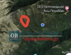 Όλυμπος: Βελτιωμένη η εικόνα από τη φωτιά (εικόνες - βίντεο) Φωτιά τώρα στον Όλυμπο