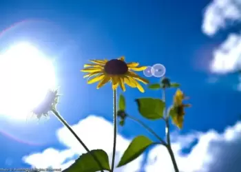 Ο Καιρός σήμερα για Κατερίνη και Πιερία: Γενικά αίθριος καιρός. Πρόσκαιρες νεφώσεις