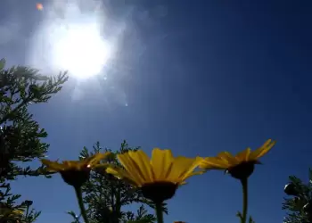 Ο Καιρός σήμερα για Κατερίνη και Πιερία: Γενικά αίθριος καιρός. Πρόσκαιρες νεφώσεις