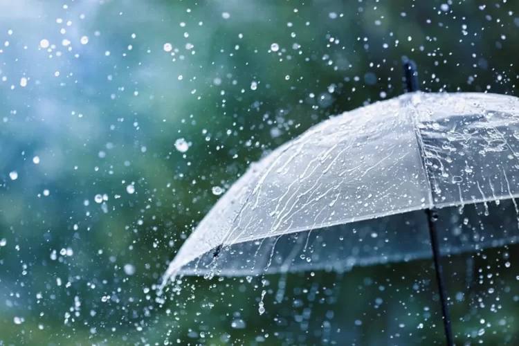 Ο Καιρός σήμερα για Κατερίνη και Πιερία: Νεφώσεις παροδικά αυξημένες με τοπικές βροχές