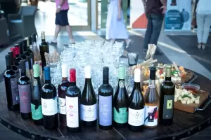 Κατερίνη: Επιτυχής η 1η Ημερίδα Απόδημου Ελληνισμού, από την αντιδημαρχία Τουρισμού