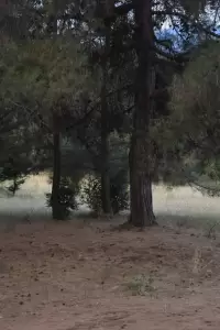 Κινδύνους νέων πυρκαγιών σε αστικούς ιστούς και εθνικές οδούς, υποδεικνύουν συμπολίτες μας