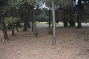 Κινδύνους νέων πυρκαγιών σε αστικούς ιστούς και εθνικές οδούς, υποδεικνύουν συμπολίτες μας