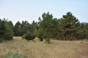 Κινδύνους νέων πυρκαγιών σε αστικούς ιστούς και εθνικές οδούς, υποδεικνύουν συμπολίτες μας