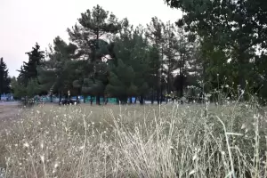 Κινδύνους νέων πυρκαγιών σε αστικούς ιστούς και εθνικές οδούς, υποδεικνύουν συμπολίτες μας