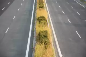 Κινδύνους νέων πυρκαγιών σε αστικούς ιστούς και εθνικές οδούς, υποδεικνύουν συμπολίτες μας