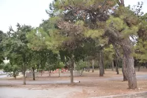 Κινδύνους νέων πυρκαγιών σε αστικούς ιστούς και εθνικές οδούς, υποδεικνύουν συμπολίτες μας