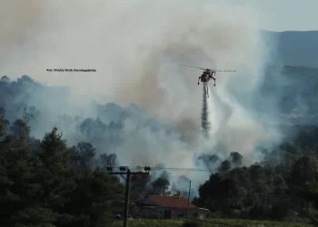Η συμβολή των εναέριων μέσων στην κατάσβεση των πυρκαγιών