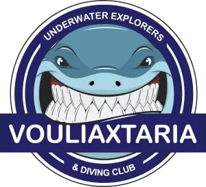 Τα «Βουλιαχτάρια» μεριμνούν για καθαρές θάλασσες στην Πιερία