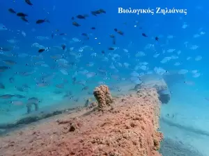 Τα «Βουλιαχτάρια» μεριμνούν για καθαρές θάλασσες στην Πιερία