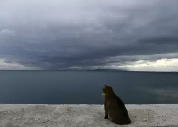Ο Καιρός σήμερα, Δευτέρα 18/9, στην Κατερίνη και Πιερία: Νεφώσεις με τοπικές βροχές Ο Καιρός σήμερα, Δευτέρα 18/9, στην Κατερίνη και Πιερία: Νεφώσεις με τοπικές βροχές