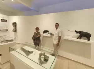 Μαστόδοντας – Νεοκαισάρεια: Επίσκεψη του dr Παλαιοντολογίας florian fladerer στο Εκθετήριο