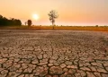Το 2023 η θερμότερη χρονιά στην ιστορία – Οι τρεις τελευταίοι μήνες οι θερμότεροι εδώ και 120.000 χρόνια