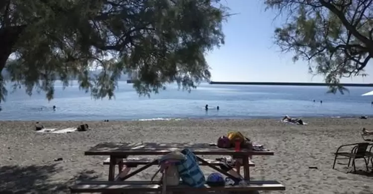 Ακτή με τζιτζιφιές