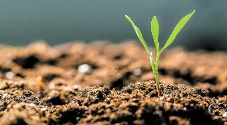 Ανακοίνωση από τη Γενική Διεύθυνση Αγροτικής Οικονομίας και Κτηνιατρικής της Π.Κ.Μ.