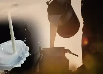 Φουντώνει το παζάρι για την τιμή γάλακτος – Τι ζητούν οι κτηνοτρόφοι