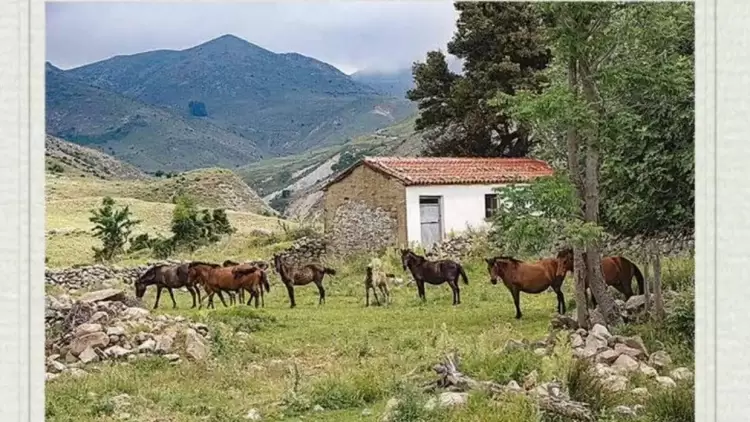 Το κρυφό σχολείο στην Ίμβρο – Μια άγνωστη ως τώρα πτυχή της ιστορίας σε ένα βιβλίο