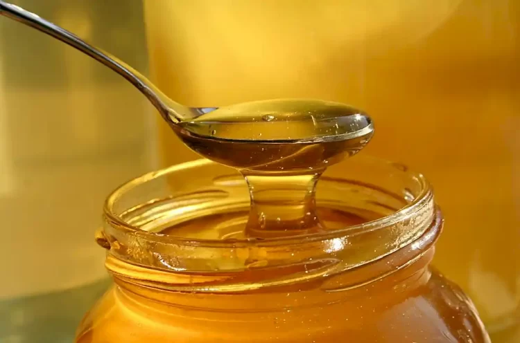 Ακριβό το μέλι μόνο για… τους μελισσοκόμους – Γιατί παραμένει φθηνό στα ράφια παρά τη μειωμένη παραγωγή