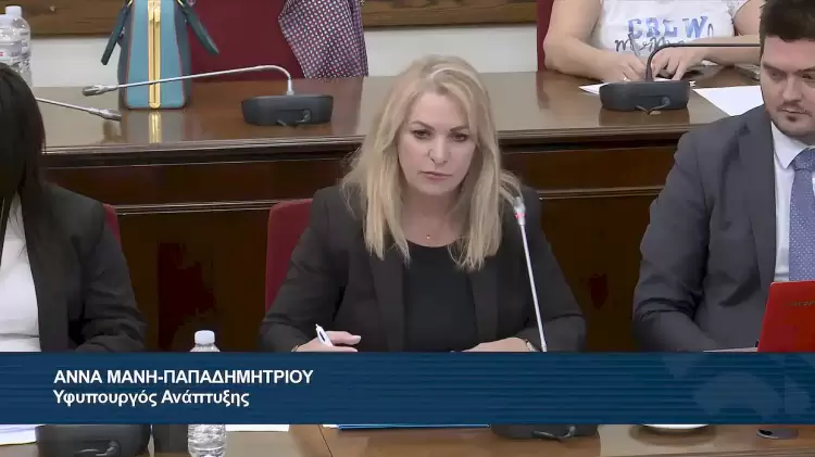 Άννα Μάνη – Παπαδημητρίου: Σχεδίου Νόμου του Υπουργείου Ανάπτυξης για την υποχρέωση δημοσιοποίησης στοιχείων φορολογίας