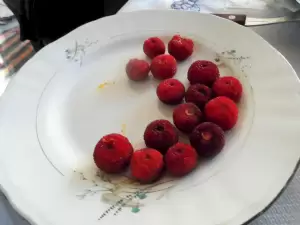 ΕΛ.Π.ΠΙ: Αναζητώντας τα πρώτα χιόνια στην Πιερία με …ποδήλατο!