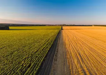 Ενίσχυση των Ελλήνων αγροτών με 43,1 εκατ. ευρώ προτείνει η Κομισιόν 