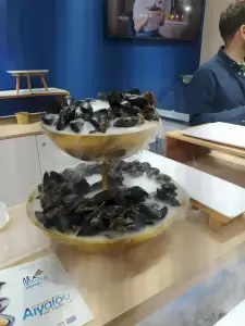 Επιμελητήριο Πιερίας: 30 δημοσιογράφοι από την Ελλάδα και το εξωτερικό για τα Μύδια Πιερίας Επιμελητήριο Πιερίας: 30 δημοσιογράφοι από την Ελλάδα και το εξωτερικό για τα Μύδια Πιερίας