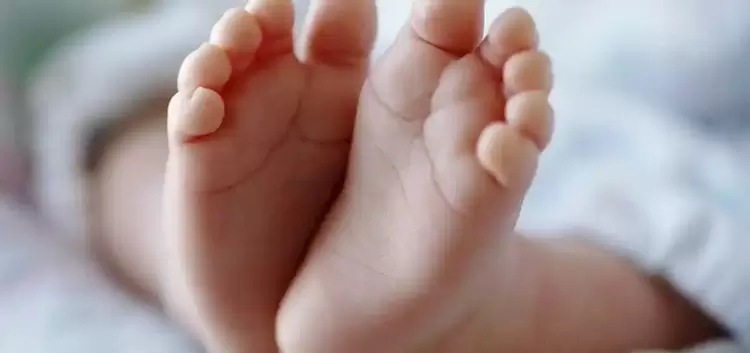 “Γεννητούρια” στον Αετό Καταλωνίων