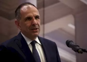 Γεραπετρίτης: «Δεν μπορούμε να ανεχθούμε την κατάσταση στη Γάζα»