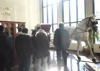 Και η Μέριμνα Παιδιού Κατερίνης στην έκθεση του Επιμελητηρίου Και η Μέριμνα Παιδιού Κατερίνης στην έκθεση του Επιμελητηρίου