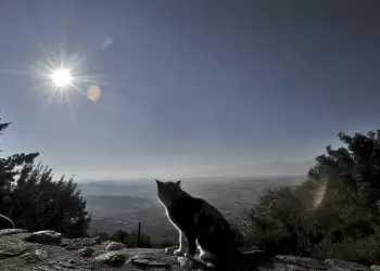 Ο Καιρός στην Κατερίνη και την Πιερία σήμερα, Δευτέρα 20/11: Ζέστη και ηλιοφάνεια