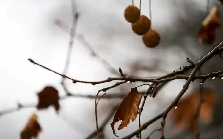 Καιρός: Μείωση θερμοκρασίας σήμερα σε όλη τη χώρα – Πού θα πέσει περισσότερους βαθμούς Κελσίου Καιρός: Μείωση θερμοκρασίας σήμερα σε όλη τη χώρα – Πού θα πέσει περισσότερους βαθμούς Κελσίου