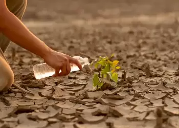 Κλιματική κρίση: Ξεπεράστηκε για πρώτη φορά το κρίσιμο όριο για την υπερθέρμανση του πλανήτη