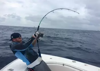 Μεγάλες τσιπούρες αλανιάρες Μεγάλες τσιπούρες αλανιάρες