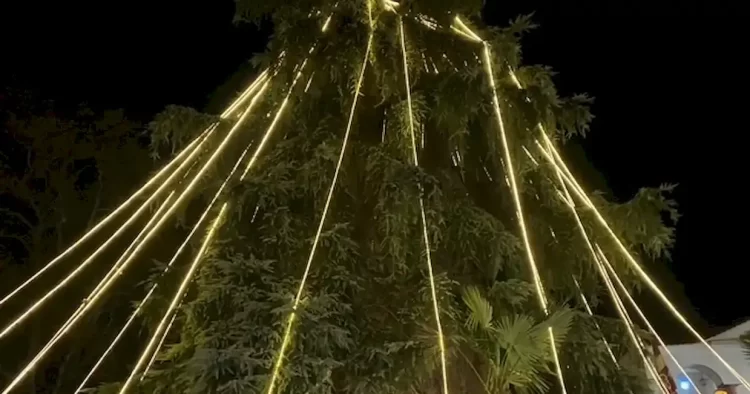 Η Μητρόπολη Κατερίνης φωταγώγησε το δικό της χριστουγεννιάτικο δέντρο (εικόνες)