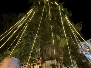 Η Μητρόπολη Κατερίνης φωταγώγησε το δικό της χριστουγεννιάτικο δέντρο (εικόνες) Η Μητρόπολη Κατερίνης φωταγώγησε το δικό της χριστουγεννιάτικο δέντρο (εικόνες)