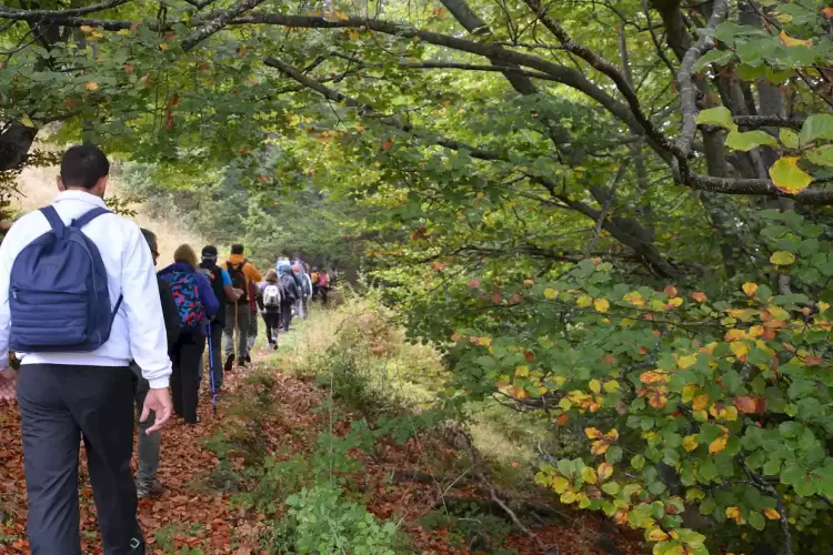 Όλυμπος – Λιτόχωρο: Πεζοπορία για Όλους… 