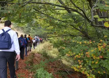 Όλυμπος – Λιτόχωρο: Πεζοπορία για Όλους… 