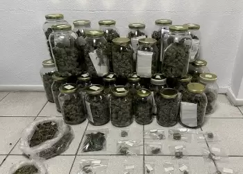 Πιερία: Διακινούσε σε βάζα το χασίς (εικόνα)