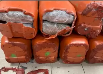 Εισήγαγαν κάνναβη από τη Βόρεια Μακεδονία και τη διακινούσαν στην Ελλάδα Εισήγαγαν κάνναβη από τη Βόρεια Μακεδονία και τη διακινούσαν στην Ελλάδα