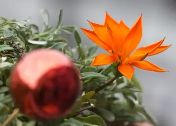 Ο Καιρός στην Κατερίνη και την Πιερία σήμερα, Σάββατο 23/12: Αίθριος με λίγες νεφώσεις Ο Καιρός στην Κατερίνη και την Πιερία σήμερα, Σάββατο 23/12: Αίθριος με λίγες νεφώσεις