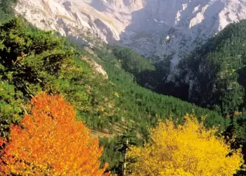 Πιερία: Γεγονός το 1ο Olympus Adrenaline & Nature Festival από την Περιφερειακή Ενότητα και τον ΠΟΤΑΠ Πιερία: Γεγονός το 1ο Olympus Adrenaline & Nature Festival από την Περιφερειακή Ενότητα και τον ΠΟΤΑΠ