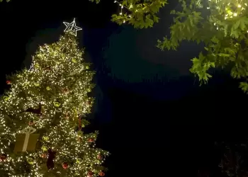 Πότε κλείνουν τα σχολεία για τις γιορτές των Χριστουγέννων – οι αργίες του 2024