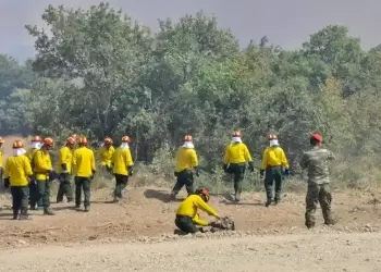 Προσλήψεις 650 δασοκομάντος στην Πυροσβεστική Προσλήψεις 650 δασοκομάντος στην Πυροσβεστική