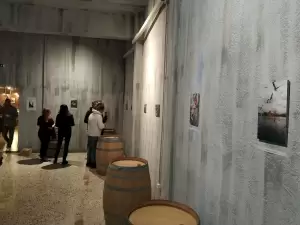 Τάνια Δούλαλα – Έκθεση φωτογραφίας: Ένας διάλογος εικόνων και λέξεων στον Olympus Wines Tasting Room στο Λιτόχωρο