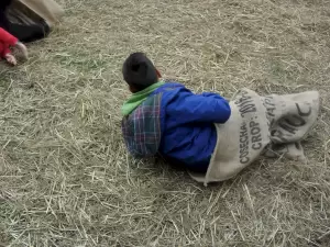 Τσουβαλοδρομίες στο Χριστουγεννιάτικο Χωριό Κατερίνης