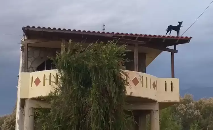 Τι είναι αυτό που κάνει γαβ-γαβ στα κεραμίδια;