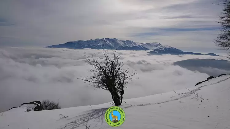 Φυσιολατρικός Σύλλογος Λιτοχώρου «Όλυμπος»: Πρόγραμμα Δραστηριοτήτων Ιανουάριου 2024