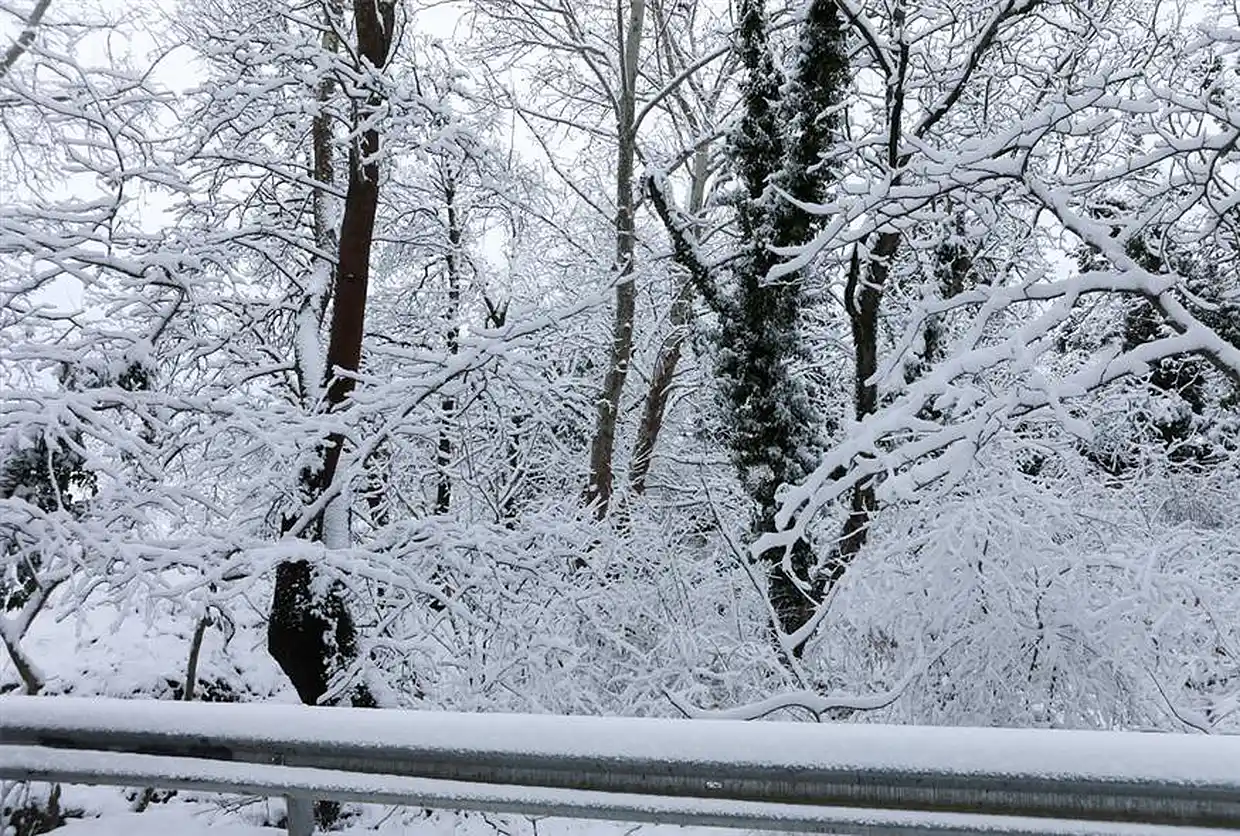 Καιρός: Έρχεται χιονιάς με θυελλώδεις βοριάδες και κρύο – Ποιες περιοχές θα «ντυθούν» στα λευκά