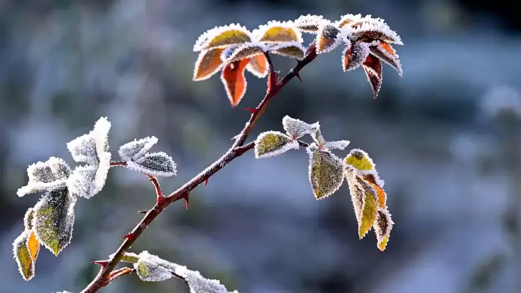 Ο Καιρός στην Κατερίνη και την Πιερία σήμερα, Δευτέρα 15/1: Λίγες νεφώσεις με ασθενείς τοπικές βροχές Ο Καιρός στην Κατερίνη και την Πιερία σήμερα, Δευτέρα 15/1: Λίγες νεφώσεις με ασθενείς τοπικές βροχές
