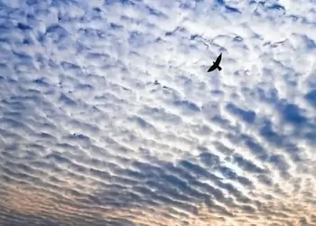 Ο Καιρός στην Κατερίνη και την Πιερία σήμερα, Παρασκευή 5/01: Αραιή συννεφιά